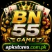 BN55 Game Logo