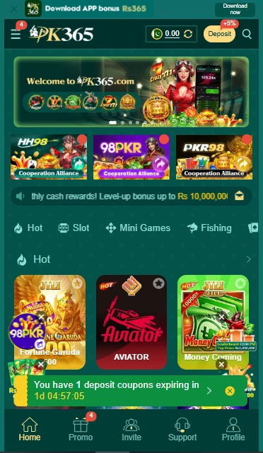 PK356 Game Interface Screenshot