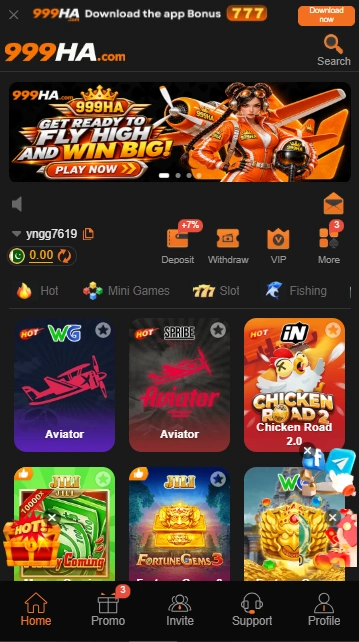 999HA Interface Screenshot