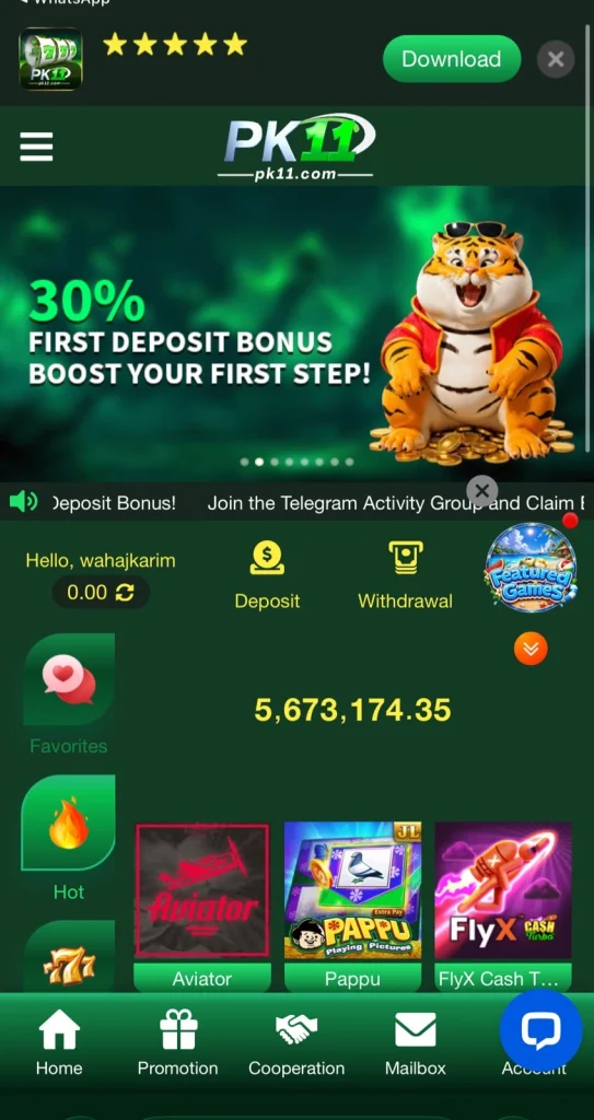 PK11 Game Interface Screenshot
