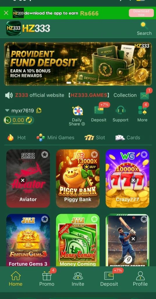 HZ999 Game Interface Screenshot