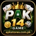 PAK14 Game Logo