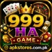 999HA Logo