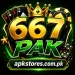 667PAK Game Logo