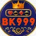 BK999 Game Logo