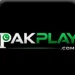 Pakplay Game Logo