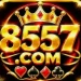 8557 Game Logo