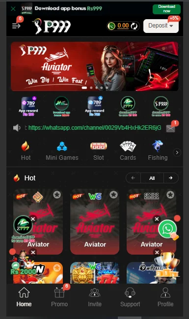 P999 Game Interface Screenshot