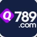 Q789 Game Logo