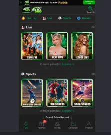 Jeeto999 Game Interface Screenshot